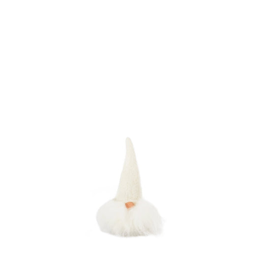 Viktor with White Beard and White Cap